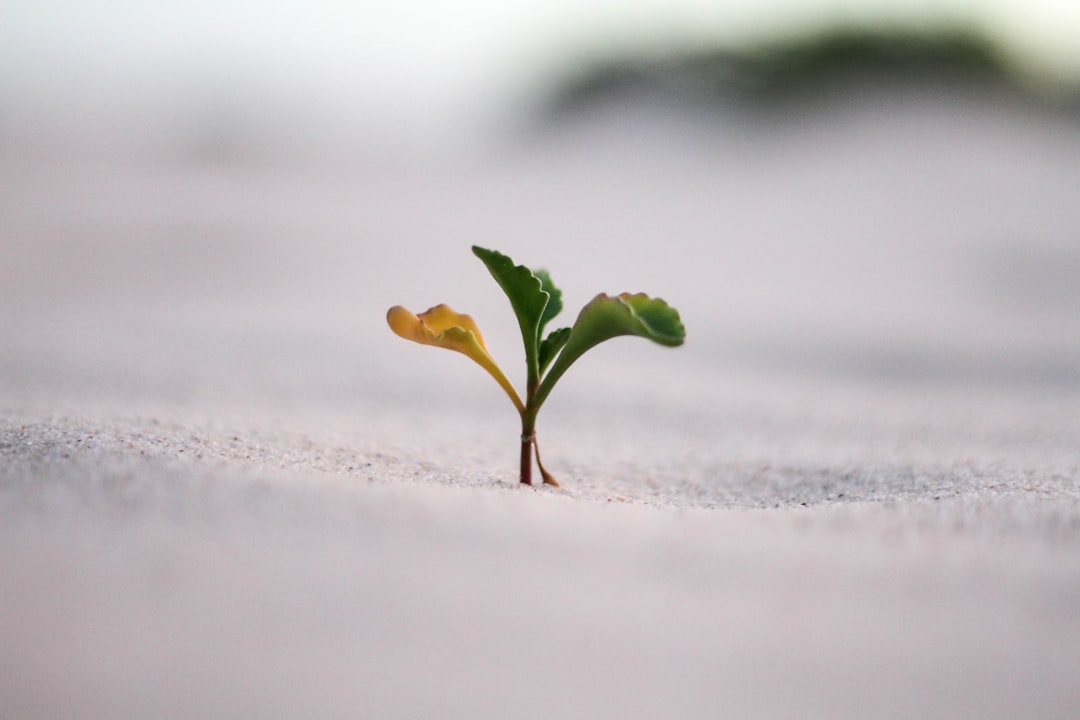 Storytelling ve startupech